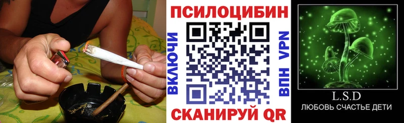 Псилоцибиновые грибы Psilocybe  darknet состав  кракен маркетплейс  Спас-Клепики  цены  